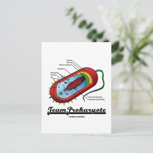 Team prokaryote (bacteriën) briefkaart (Staand voorkant)