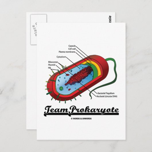 Team prokaryote (bacteriën) briefkaart (Voorkant / Achterkant)