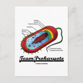 Team prokaryote (bacteriën) briefkaart