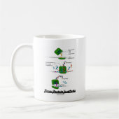Team Protein Synthese Koffiemok (Links)