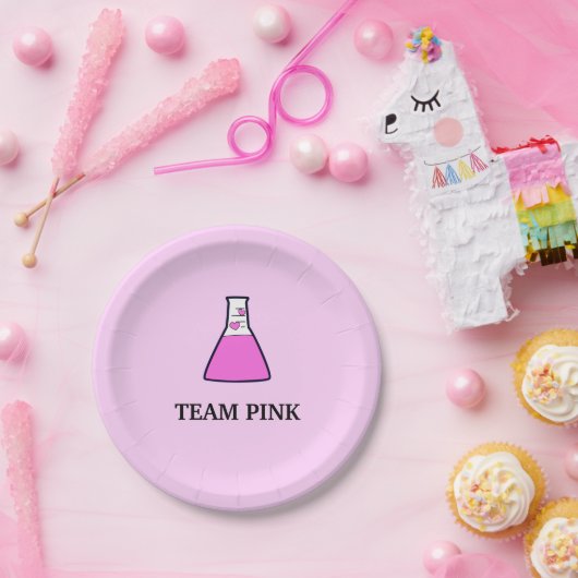 Team Roze Gender onthulling wetenschapsleerster Papieren Bordje (Feest)