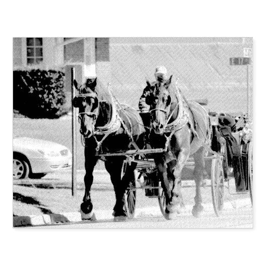 Team Rubberstempel (Afrduk)