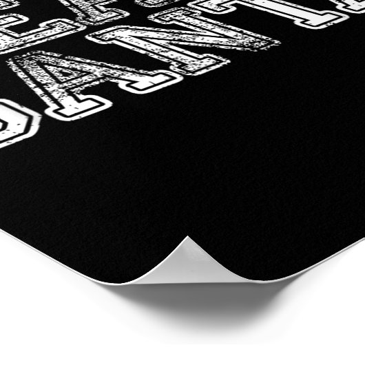 Team Santa T Shirt - Funny Fun Christmas Day Tee  Poster (Hoek)