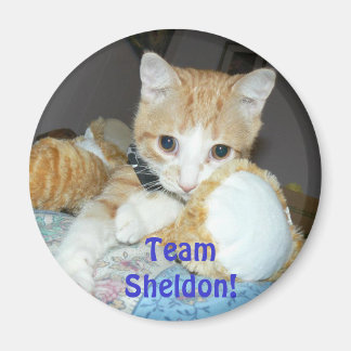 Team Sheldon Magnet