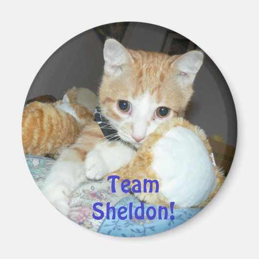 Team Sheldon Magnet (Voorkant)