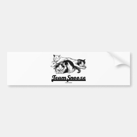 Team Snooze (drie smoesende snackkatten) Bumpersticker (Voorkant)