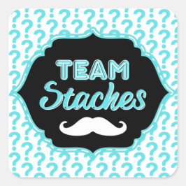 TEAM Staches Blue Gender onthullen Sticker