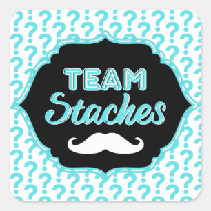TEAM Staches Blue Gender onthullen Sticker