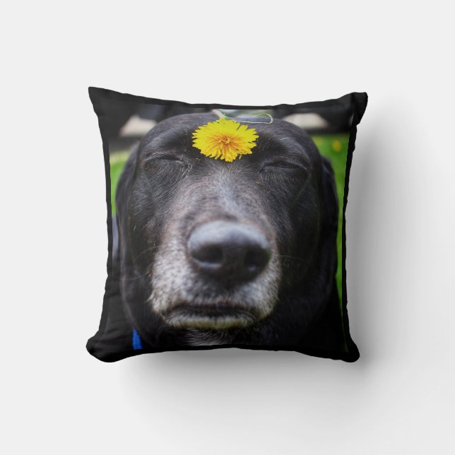 Team Sweetie de Meme Dog Pillow Kussen (Voorkant)