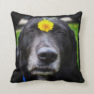 Team Sweetie de Meme Dog Pillow Kussen