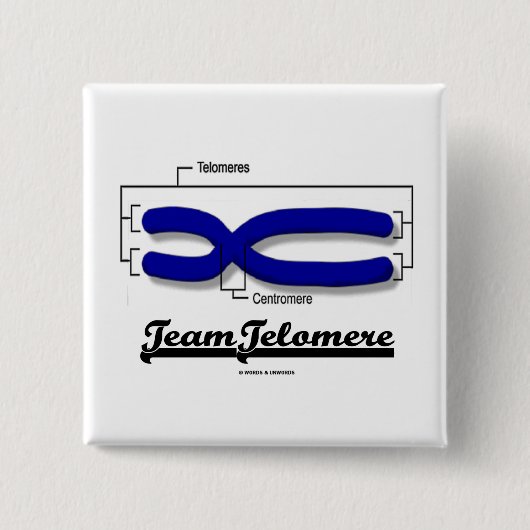 Team Telomere (Biology Humor) Vierkante Button 5,1 Cm (Voorkant)