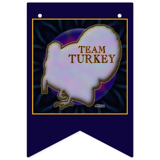 Team Turkije Vlaggetjes (Tweede vlag)
