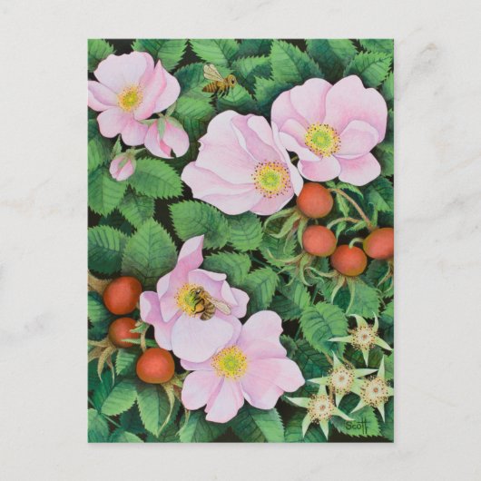 Team Work 2011 Briefkaart (Voorkant)