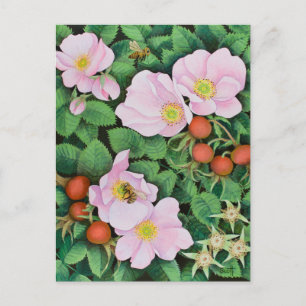 Team Work 2011 Briefkaart