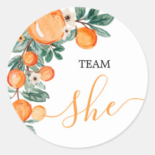 TEAM Ze Gender Onthullen Citrus Oranje Game Labels