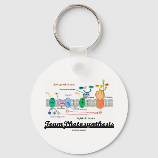 Teamfotosynthese (lichtafhankelijke reacties) sleutelhanger (Voorkant)