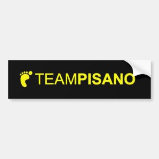 TeamPisano-Bumpersticker Bumpersticker