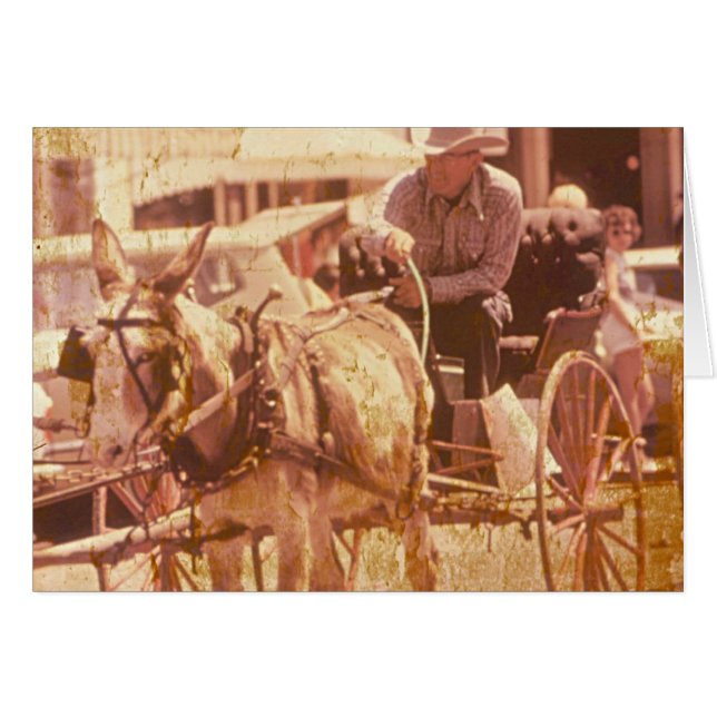 Teamwerk (Voorkant Horizontaal)