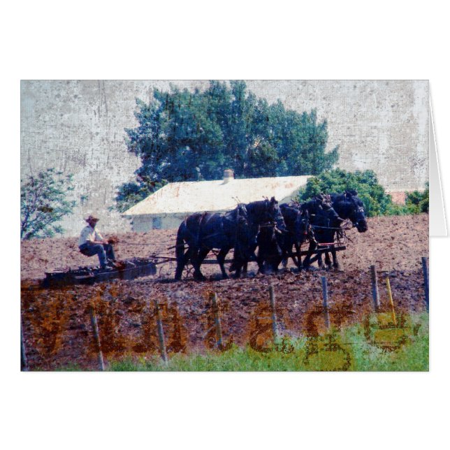  teamwerk (Voorkant Horizontaal)