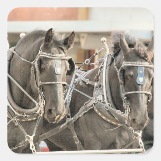 Teamwerk Vierkante Sticker (Voorkant)