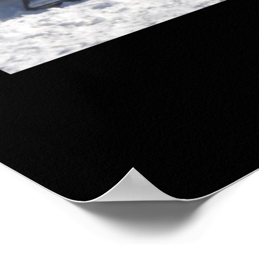 Teamwork Dog Sled Poster (Hoek)