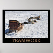 Teamwork Dog Sled Poster (Voorkant)