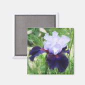 Teamwork - Lange Bearded Iris Magneet (Voorkant / Achterkant)