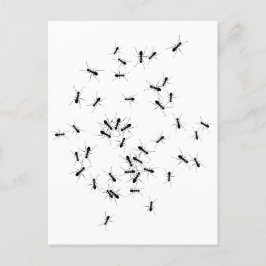 Teamwork maakt het droomwerk briefkaart