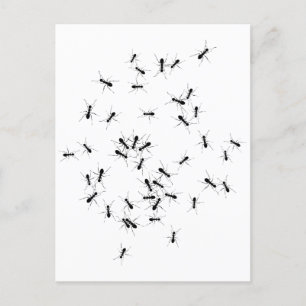 Teamwork maakt het droomwerk briefkaart