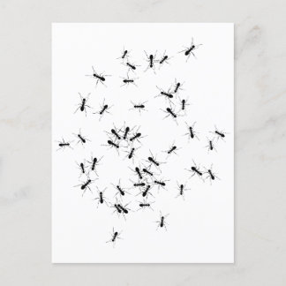 Teamwork maakt het droomwerk briefkaart