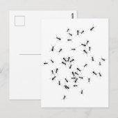 Teamwork maakt het droomwerk briefkaart (Voorkant / Achterkant)