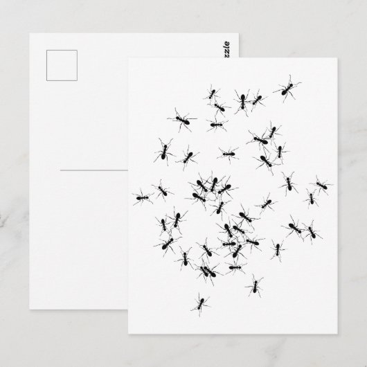 Teamwork maakt het droomwerk briefkaart (Voorkant / Achterkant)