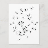 Teamwork maakt het droomwerk briefkaart (Voorkant)