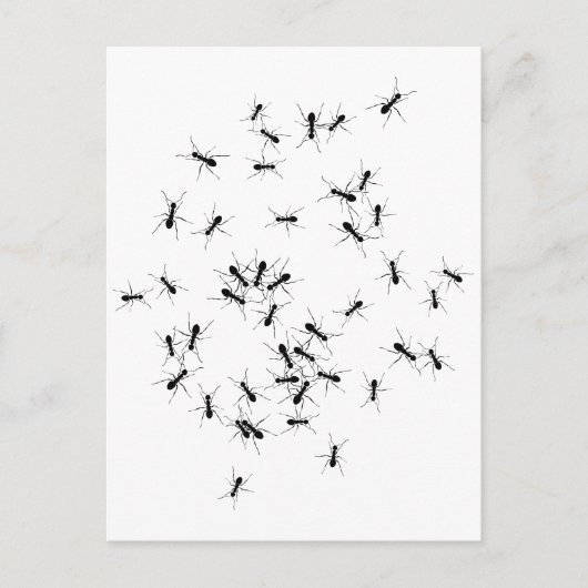 Teamwork maakt het droomwerk briefkaart (Voorkant)