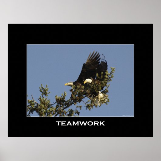 TEAMWORK Motivatie Photo Poster (Voorkant)