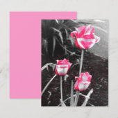 Tear Drop Rozen -Ontwerp 2 (Voorkant / Achterkant)
