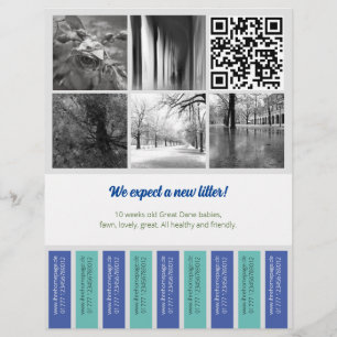 Tear Off Flyer Puppy verkopen blauw groen