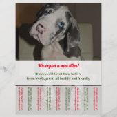 Tear Off Flyer Puppy verkopen rood groen (Voorkant)