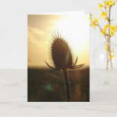Teasel Sunset Kaart (Gele Bloem)