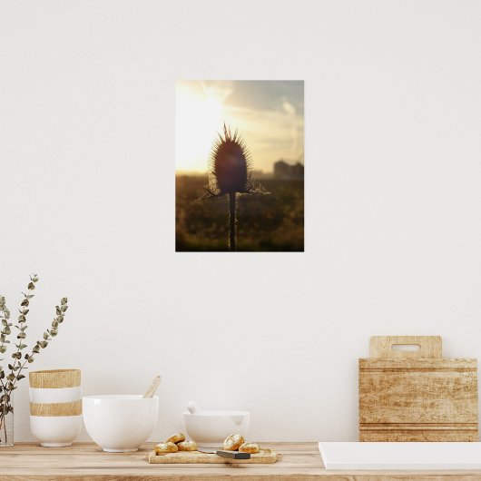 Teasel Sunset Poster (Keuken)