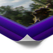 Teasel Thistle - Dipsacus fullonum Poster (Hoek)