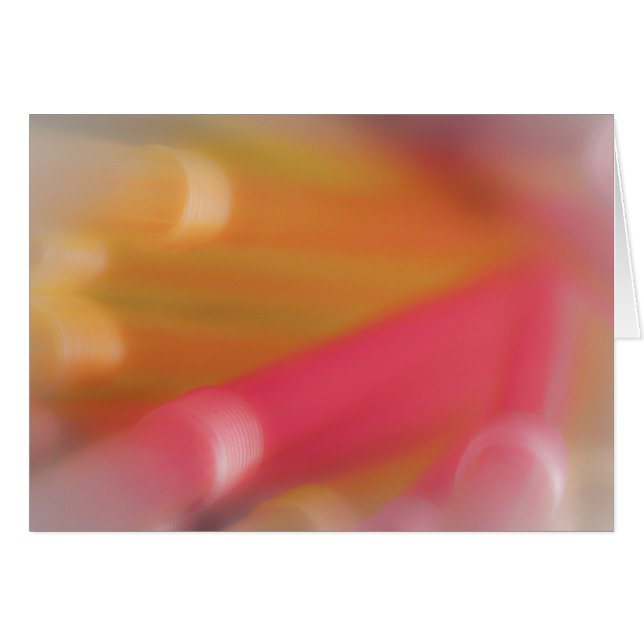 Technicolor Pipe Dream (Voorkant Horizontaal)