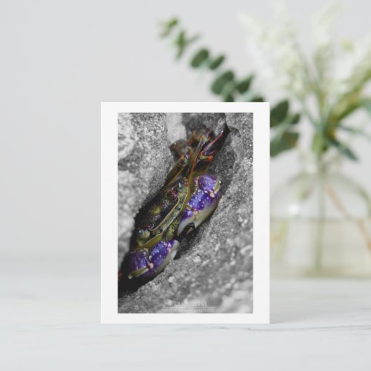 Technicolored Creature Briefkaart (Staand voorkant)