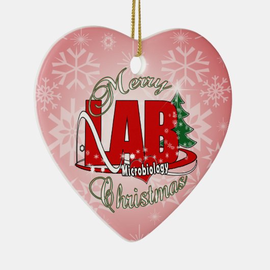 TECHNOLOGIE VAN HET LABORATORIUM VAN KERSTMIS VAN KERAMISCH ORNAMENT (Rechts)