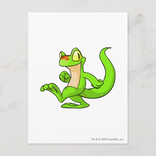 Techo Green Briefkaart (Voorkant)