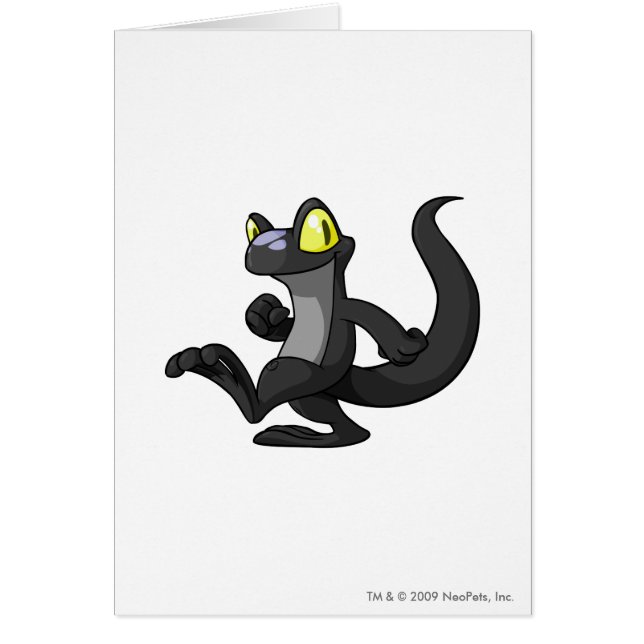 Techo Shadow (Voorkant)