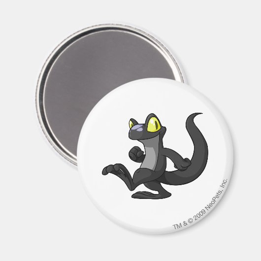 Techo Shadow Magneet (Voorkant / Achterkant)