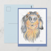 teckel-briefkaart briefkaart (Voorkant / Achterkant)