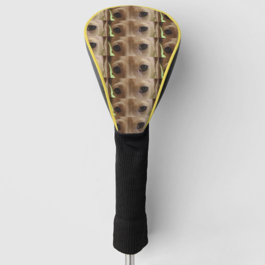 Teckel Crème ogen Golfheadcover (Voorkant)