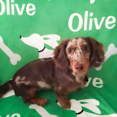 Teckel Deken Gepersonaliseerde Wiener Dog Gift